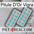 Vigra Gold Pill 29